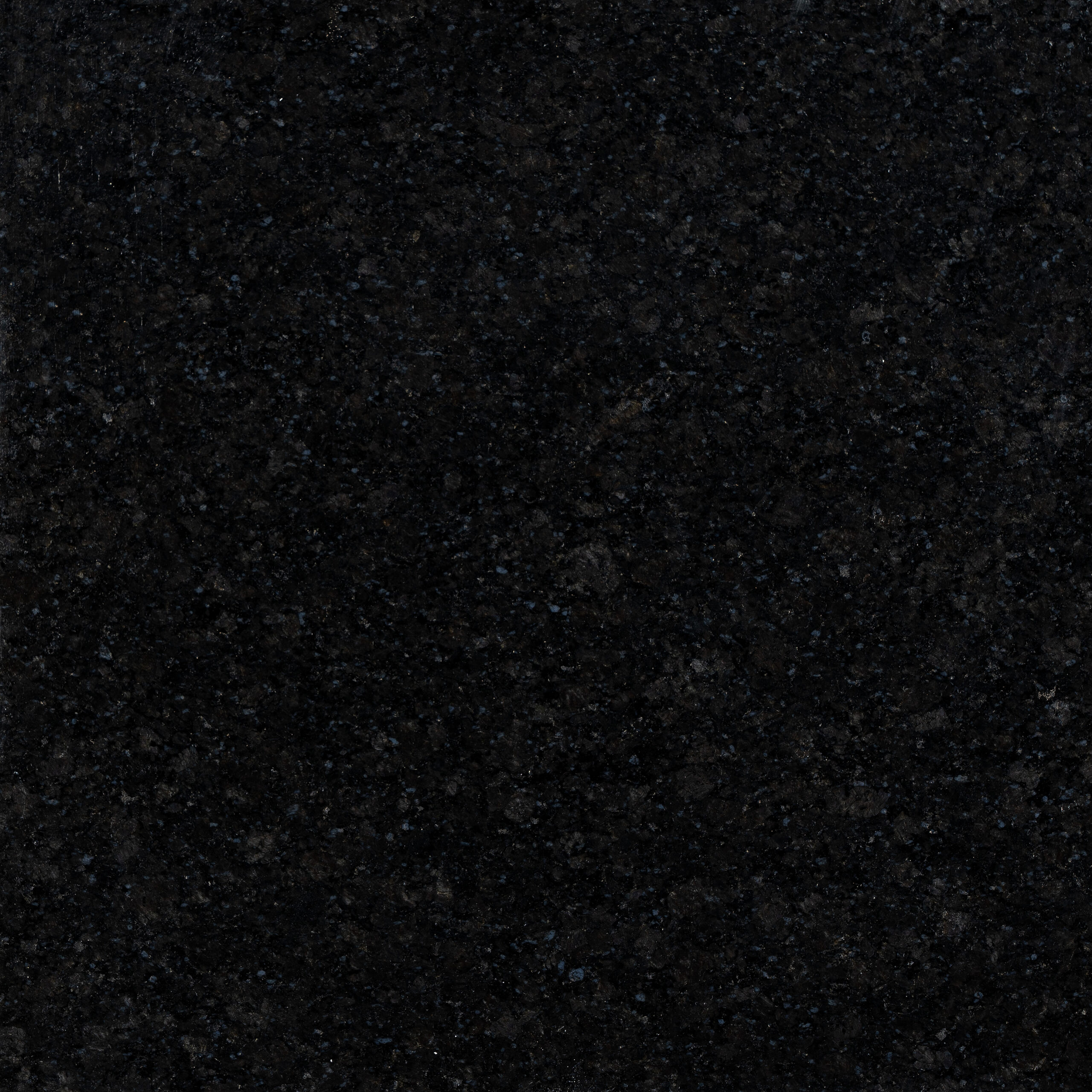 ASH BLACK