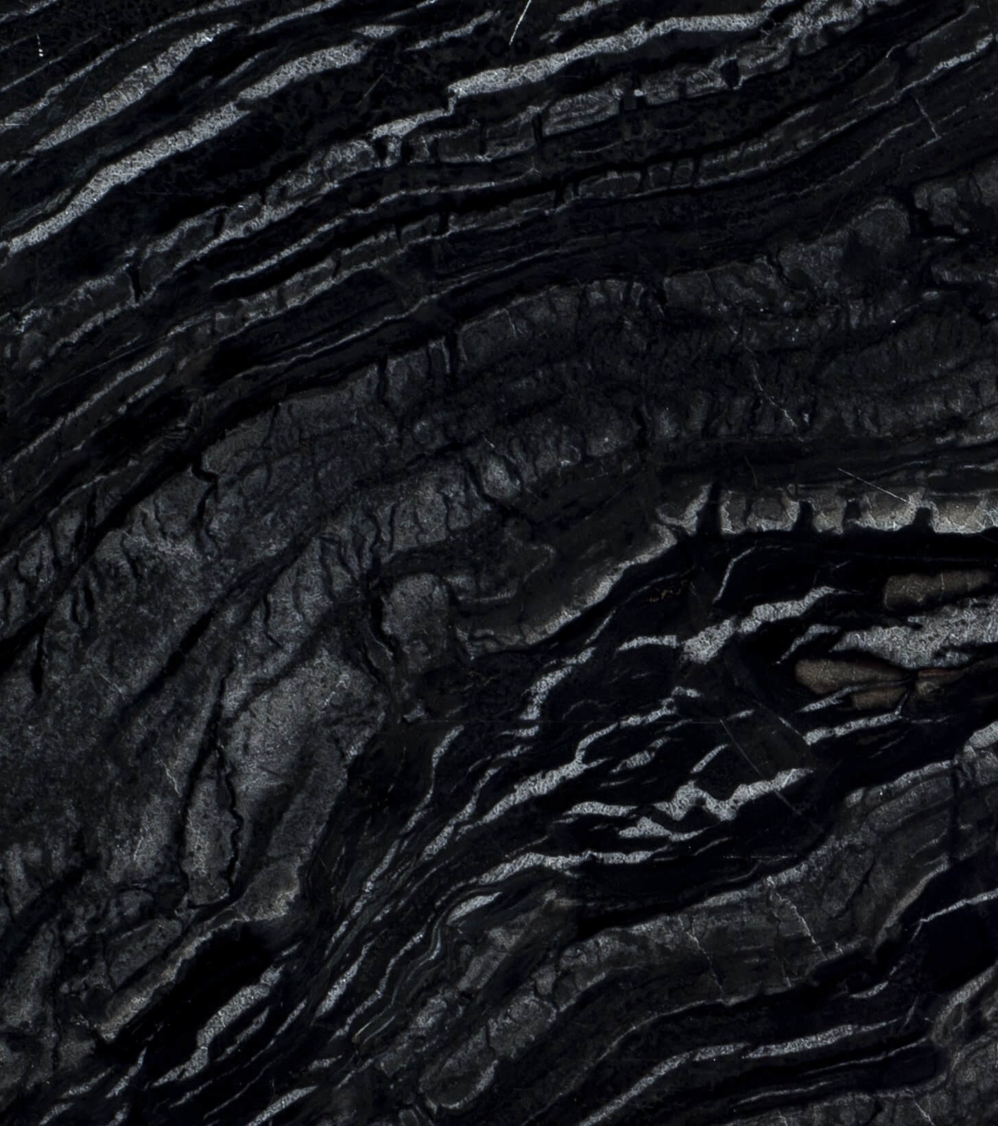 Dark Forest Μάρμαρο