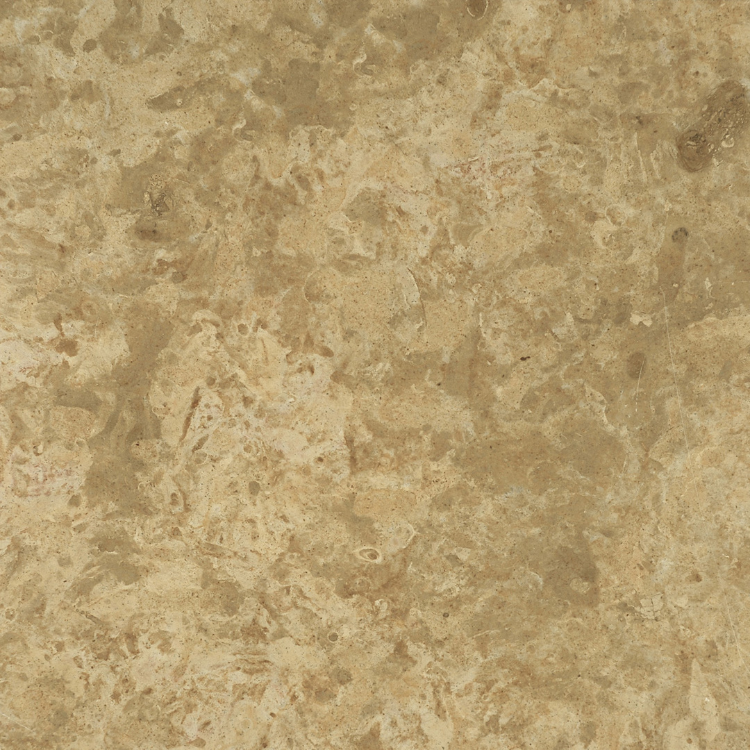 Ivory Antico
