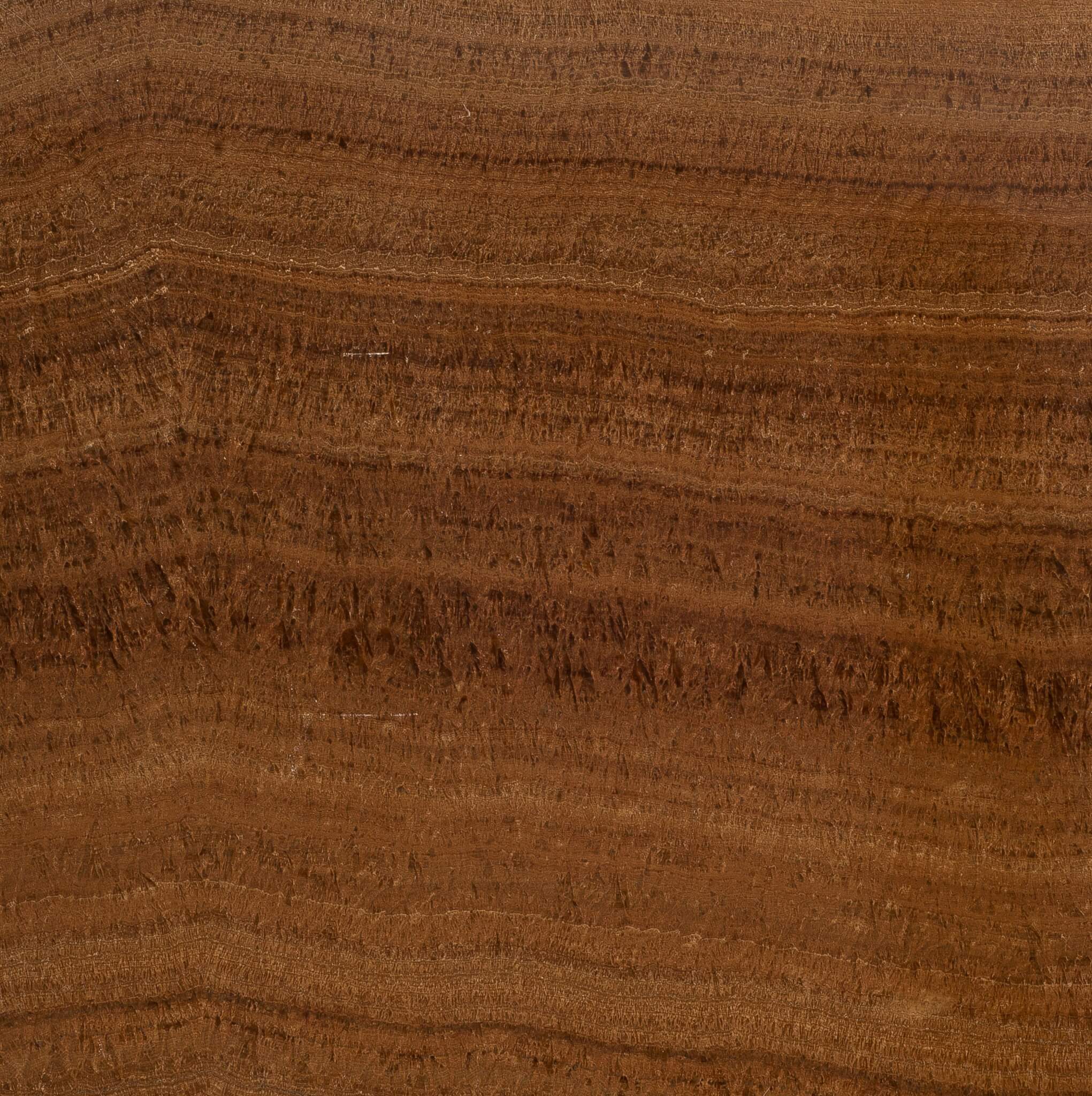 YELLOW WOOD